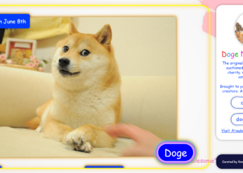 Doge柴犬迷因「Kabosu 真正日本主人」發NFT！Zora今日慈善競標已飆破3,500鎂