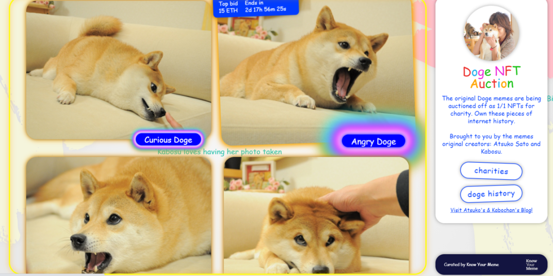 狗狗幣原型NFT「400萬美元」天價結標！得主PleasrDAO換 Doge 頭貼