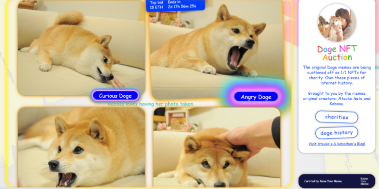 狗狗幣原型NFT「400萬美元」天價結標！得主PleasrDAO換 Doge 頭貼