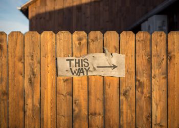 - Source : Unsplash 的 Jamie Templeton -