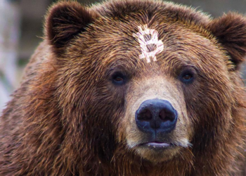 比特幣收復32,000美元！期貨市場卻仍顯疲軟，鏈上數據：礦工還在拋售