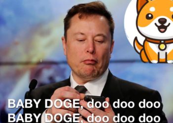 馬斯克兒歌發功！推特唱「寶貝狗幣Baby Doge」，6小時暴漲130%
