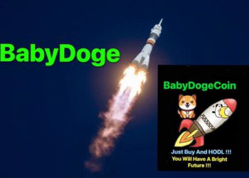 - Source : Babydoge Twitter -