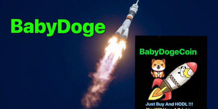 - Source : Babydoge Twitter -