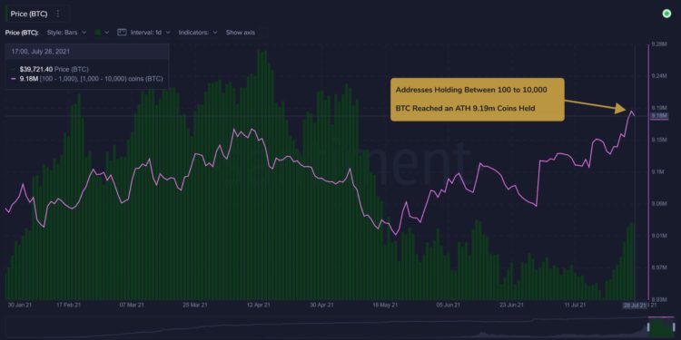 比特幣「17 億美元選擇權」將到期，有利多方！巨鯨持 919 萬 BTC 創歷史新高
