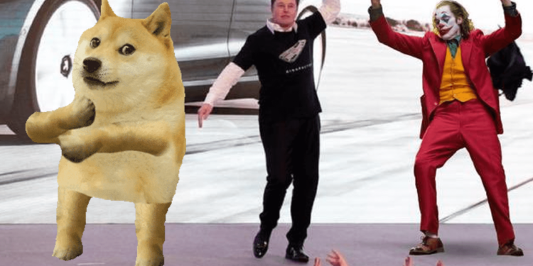 狗狗幣逆勢暴漲20%！馬斯克讚「兒子Lil X像冠軍一樣」堅持hodl住DOGE