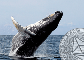 以太坊 | 10大鯨魚「掌控 21% 的ETH流通量」創新高！交易所存量跌破 2,000 萬鎂