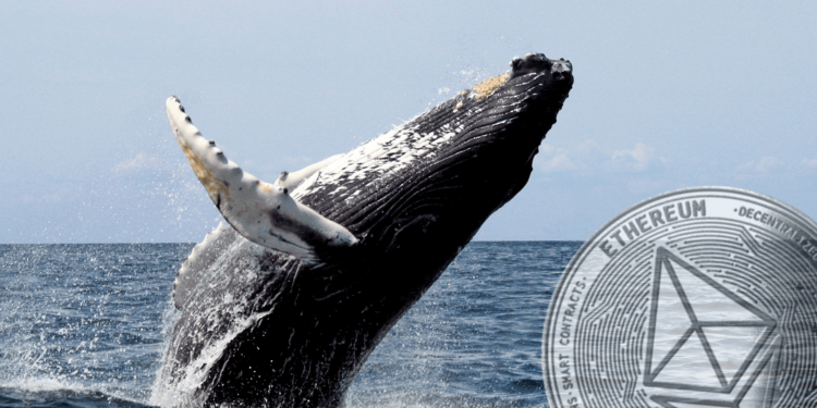 以太坊 | 10大鯨魚「掌控 21% 的ETH流通量」創新高！交易所存量跌破 2,000 萬鎂
