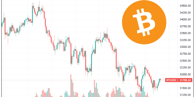 Source: Trading View | 動區動趨-最具影響力的區塊鏈新聞媒體 市場極度恐懼|比特幣熊市已至?外媒:中國鎮壓、監管 FUD 湧現,未來幾週是關鍵