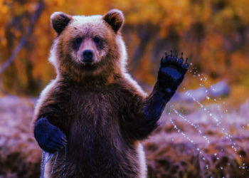 比特幣再跌破30000！BTC鏈上交易量較4月峰值下滑65%，多數交易皆賠本賣！