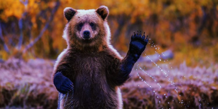 比特幣再跌破30000！BTC鏈上交易量較4月峰值下滑65%，多數交易皆賠本賣！