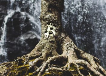 - Source : Bitcoinik -