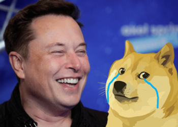 狗狗幣今年「狂漲160倍」後大跌！馬斯克也喊不動了？資深交易員：注定歸0