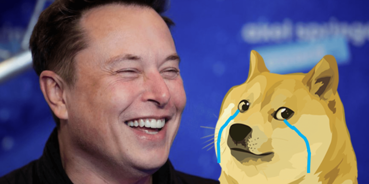 Elon Musk | Source: Hannibal Hanschke, REUTERS | 動區動趨-最具影響力的區塊鏈新聞媒體 狗狗幣今年「狂漲160倍」後大跌!馬斯克也喊不動了?資深交易員:注定歸0