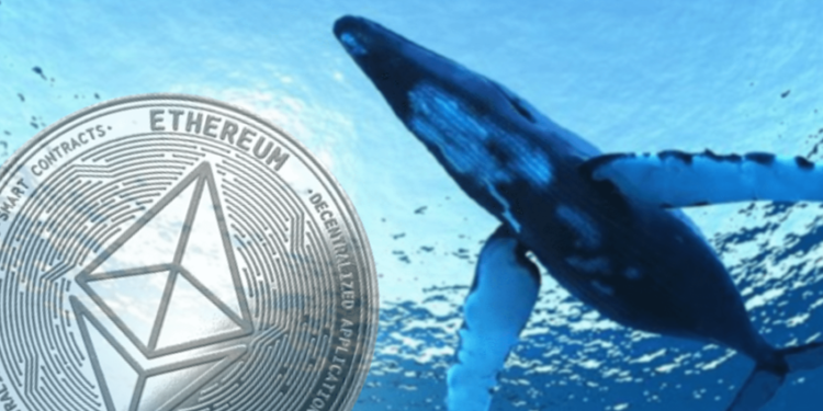 這隻巨鯨「一週投5.4億美元」進 ETH 2 存款合約，歷史活動量超 172 萬顆以太！