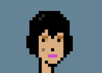 CryptoPunk NFT首次登陸博物館！邁阿密當代藝術學院今夏展出 5293 號作品