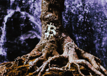 比特幣重大升級｜軟分叉 Taproot 完成「測試網部署」！節點支持率達到 28.26%