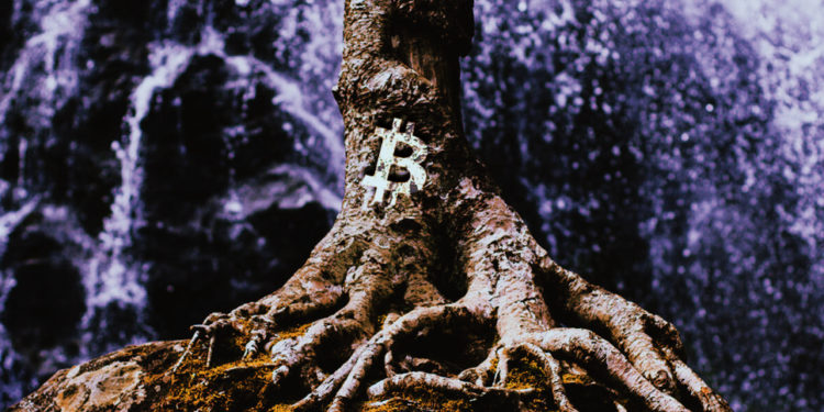 比特幣重大升級｜軟分叉 Taproot 完成「測試網部署」！節點支持率達到 28.26%