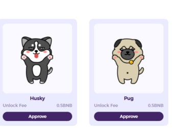 BSC上唯一的元宇宙 | GameFi 項目 CoPuppy 斬獲 150 萬美元種子輪融資