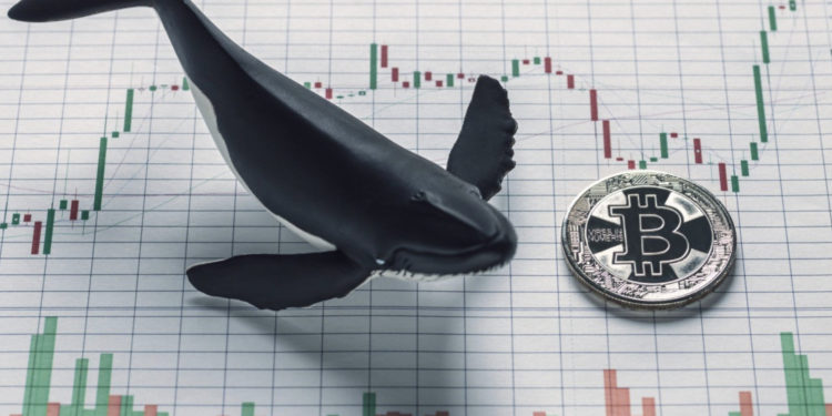 BTC瞬跌5%！「1.2萬枚比特幣」突流入幣安；匿名錢包轉移超3萬枚BTC