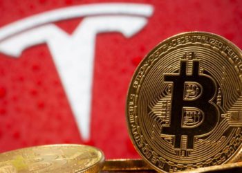 上市公司Bots宣布 : 開放「狗狗幣購買」二手特斯拉；Doge單月大漲70%