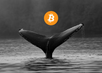 比特幣巨鯨持有量降至25%！ETH選擇權規模達「40億美元」，市場是否過熱？