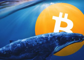 拋售訊號？比特幣「交易所巨鯨比率」飆破90%，CryptoQuant警告：勿開高槓桿