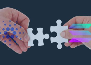 Cardano創辦人：對 Solana 很感興趣！願與 SOL 在三方面攜手合作