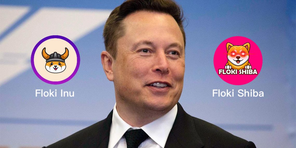 elon-floki | 動區動趨-最具影響力的區塊鏈新聞媒體 新狗狗幣飛天!馬斯克剛養的柴犬讓Shiba Floki最高暴漲5000%