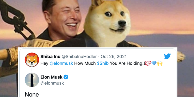 03yt1.407 | 動區動趨-最具影響力的區塊鏈新聞媒體 馬斯克持有三種幣:但我沒有 SHIB;柴犬幣暴跌15%