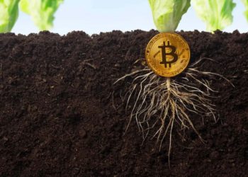 造就最純粹密碼學貨幣》比特幣 Taproot 比你想的還寬