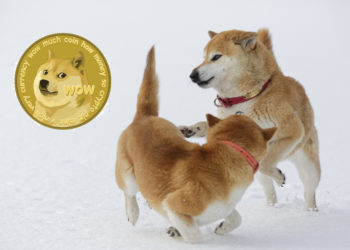 - Source : U.Today -