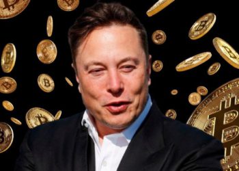 馬斯克100分認同 :「常看加密貨幣幣價，有害心理健康」