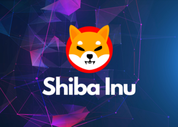 巨鯨翻身！柴犬幣彈高後跌落 25%，逾三千億顆 SHIB 被大戶轉移