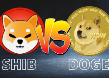 柴狗大戰！狗狗幣一小時暴漲40%擠下 SHIB，但一小時後再被超車