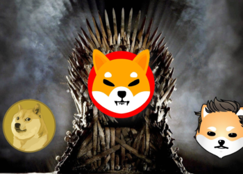 馬斯克同名狗幣Elon暴漲49倍！Doge流通量大跌90%、Shib半年漲近10倍