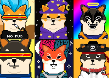 SHIB｜柴犬幣本周暴漲了350%，官方趁勢推出 NFT Shiboshis、引入燒毀機制