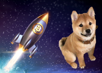 BTC持有率創9個月新高、佔總量34%，分析師：牛市終點還遠；Floki大漲超350%