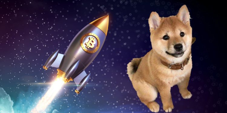 BTC持有率創9個月新高、佔總量34%，分析師：牛市終點還遠；Floki大漲超350%