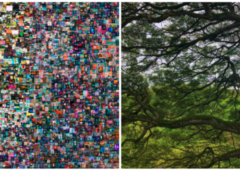 觀點｜全球「碳中和」大勢所趨，對NFT發展是阻礙還機會？