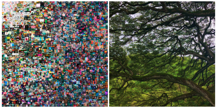 觀點｜全球「碳中和」大勢所趨，對NFT發展是阻礙還機會？