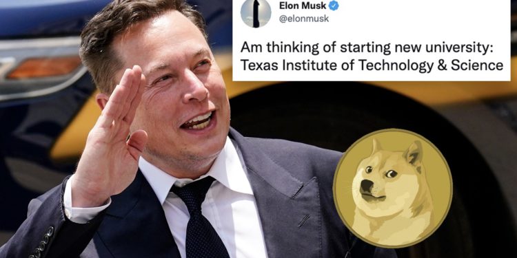 馬斯克：我考慮創辦一所新大學，以狗狗幣支付學費、養狗有折扣