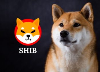 柴犬幣 | Gemini宣布上架SHIB、上漲10%，Robinhood上架連署破50萬人