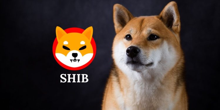 柴犬幣 | Gemini宣布上架SHIB、上漲10%，Robinhood上架連署破50萬人