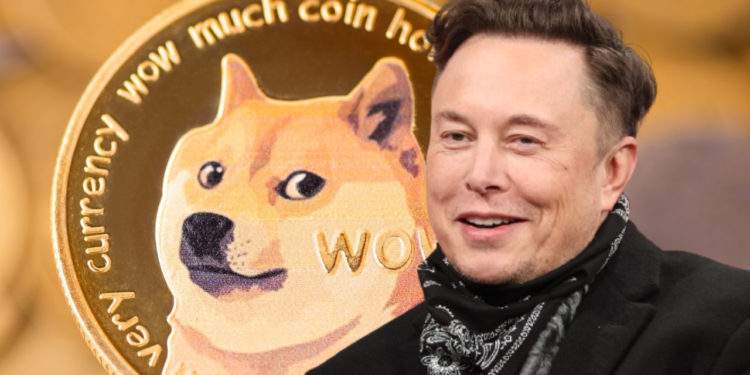 馬斯克提醒「狗狗幣投資者別玩槓桿」; SHIB推特熱度第2高 ; 寶貝狗5千兆顆將銷毀