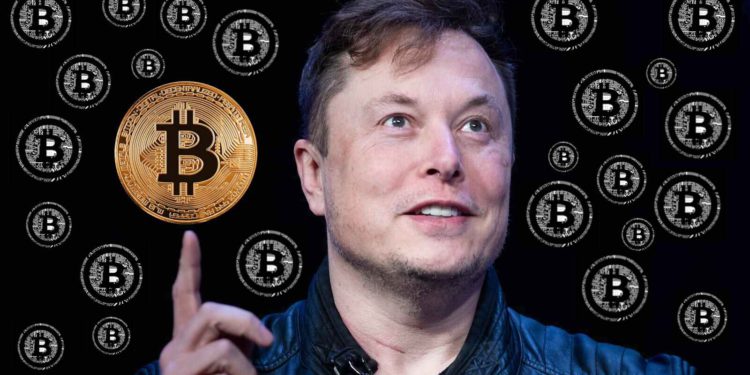 馬斯克愛用｜以為迷因數字 420、69 純粹搞笑？彭博：對加密交易員而言很重要