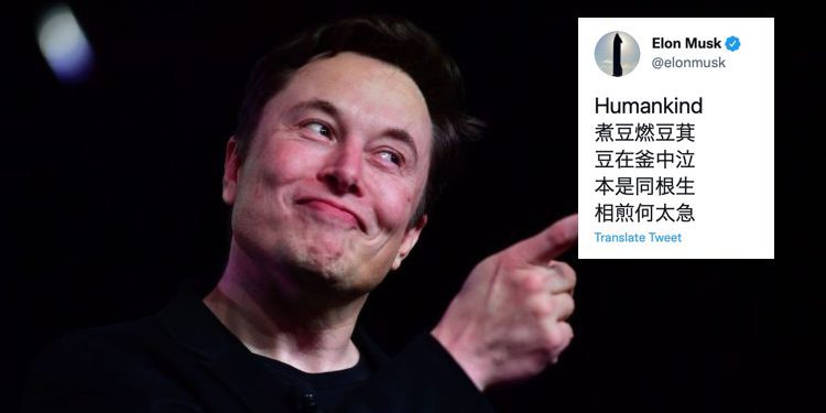 GettyImages-1130598318-750x469 | 動區動趨-最具影響力的區塊鏈新聞媒體 馬斯克推特曹植《七步詩》!「Doge、Shib 相煎何太急?」引熱議