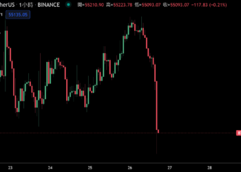 比特幣閃跌6%！南非新變種病毒引發投資人恐慌，BTC 跌破 5.5 萬美元