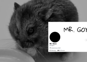 痛失英才 | 加密倉鼠 Mr.Goxx 驚傳離世，曾受馬斯克讚賞、投資績效打敗巴菲特！