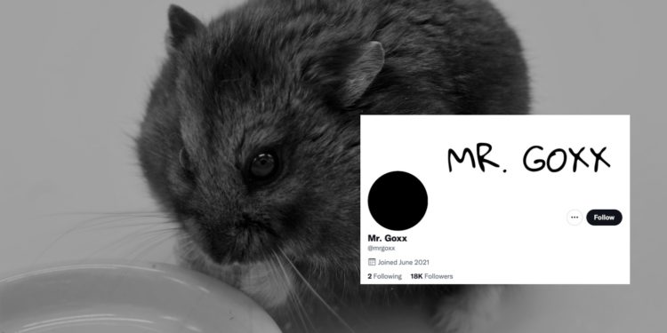 痛失英才 | 加密倉鼠 Mr.Goxx 驚傳離世，曾受馬斯克讚賞、投資績效打敗巴菲特！
